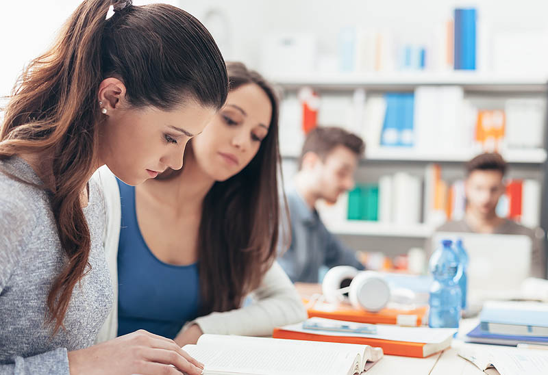 Titulo da Notí­cia 5