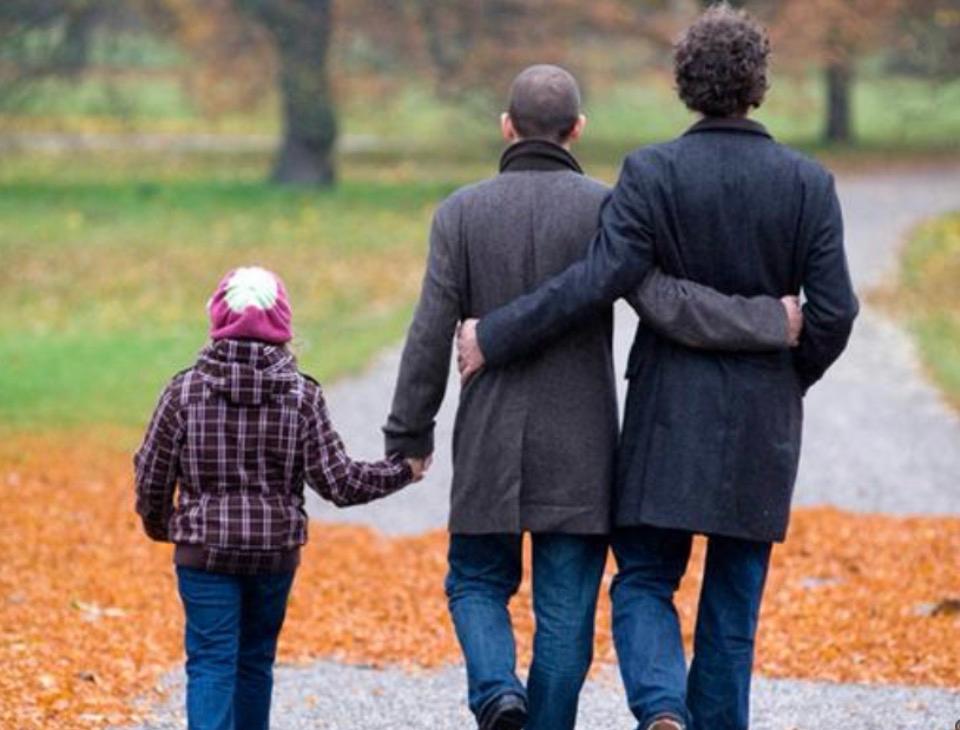 Reconhecimento de Maternidade em União Homoafetiva (Outubro de 2024)